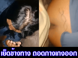 เย็ดข้างทาง